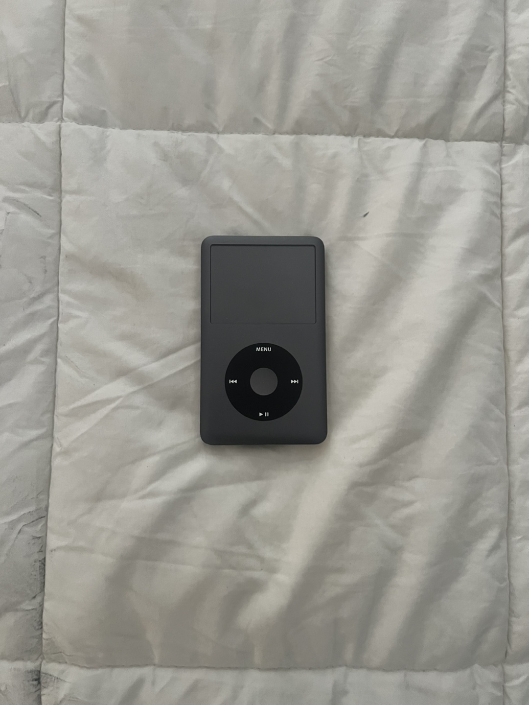 iPod - Silver and Graphite