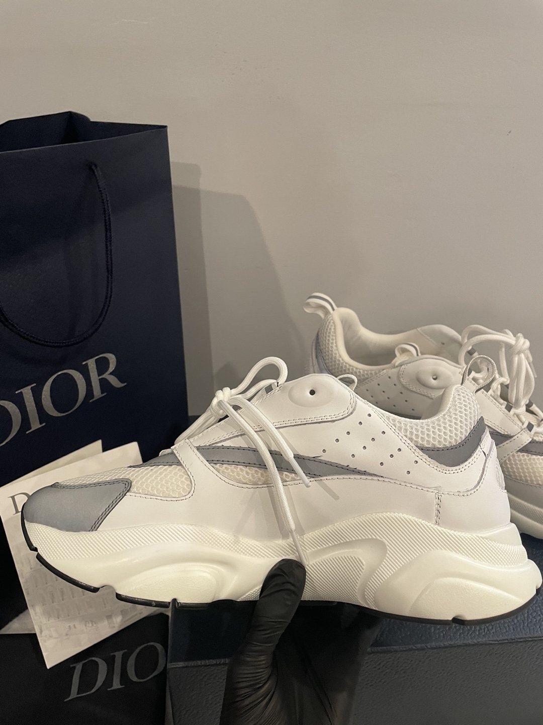 Dior b22 white grey