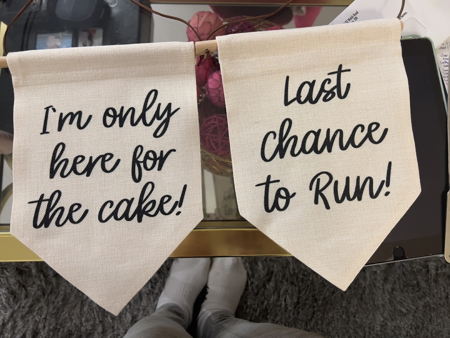 Funny Wedding/Party Bunting Banner Set