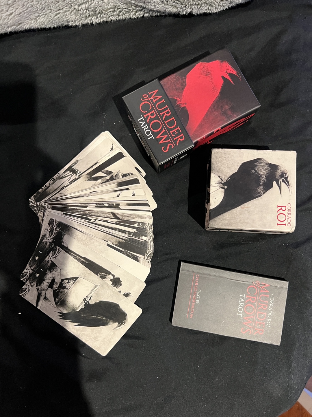 Murder of Crows Tarot Deck by Corrado Roi - photo 5