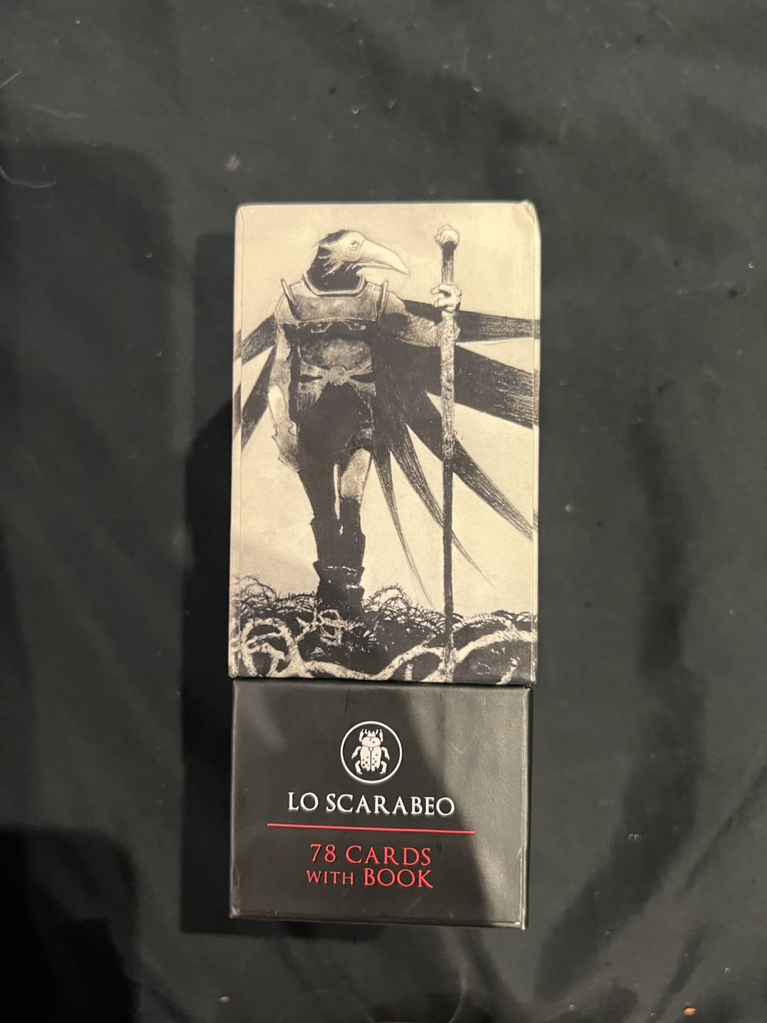 Murder of Crows Tarot Deck by Corrado Roi - photo 4