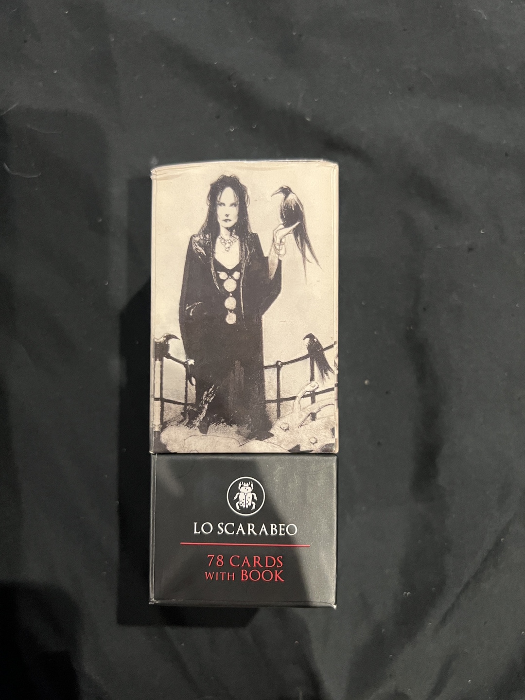 Murder of Crows Tarot Deck by Corrado Roi - photo 3
