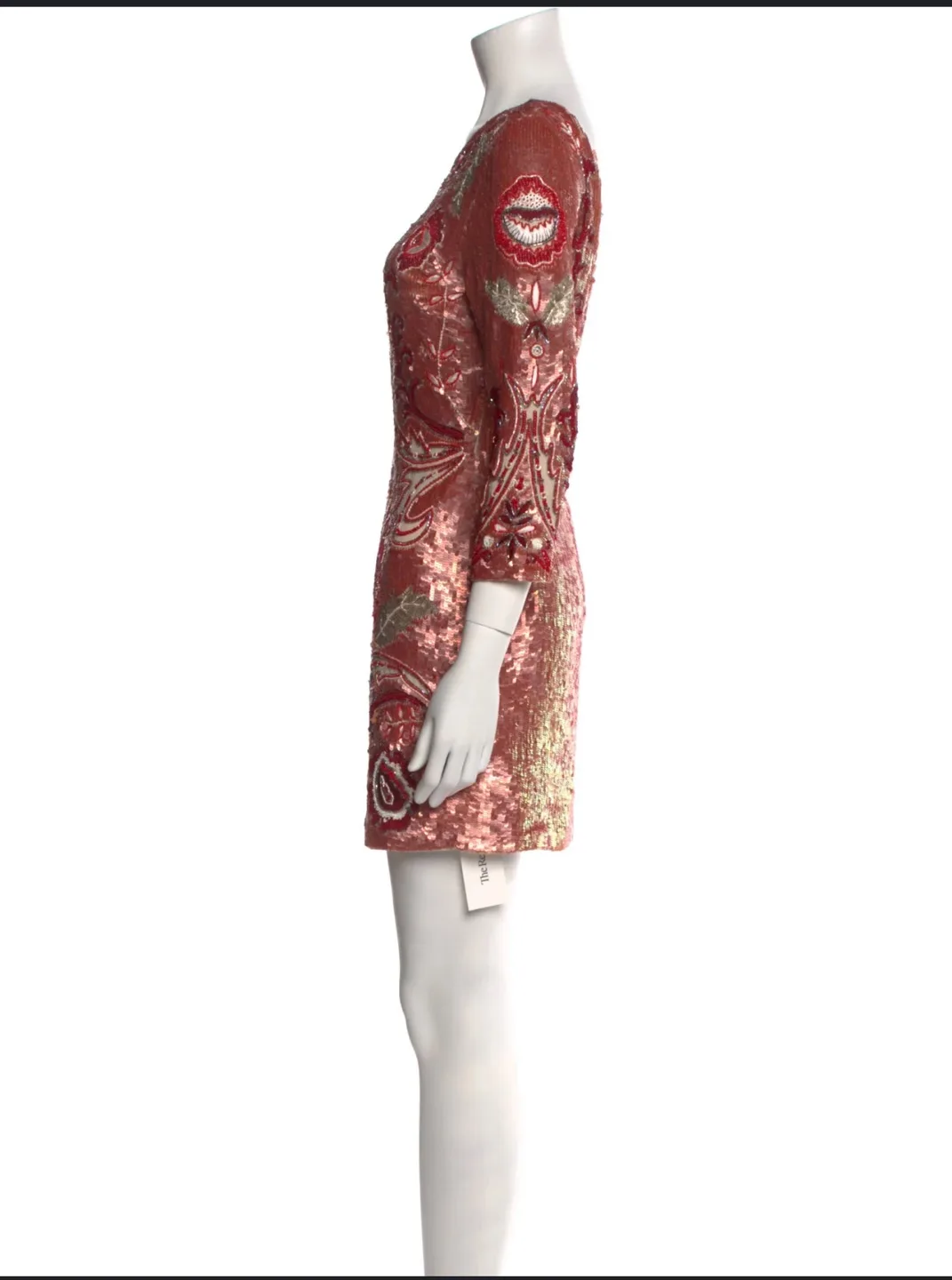 Rose gold  Embellished Mini Dress image indicator(2)