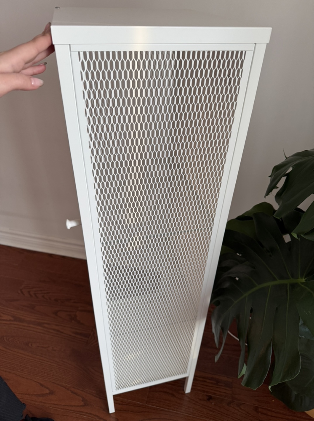 Cabinet with shelves - photo 3