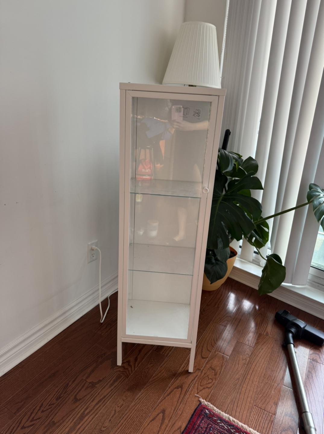 Cabinet with shelves