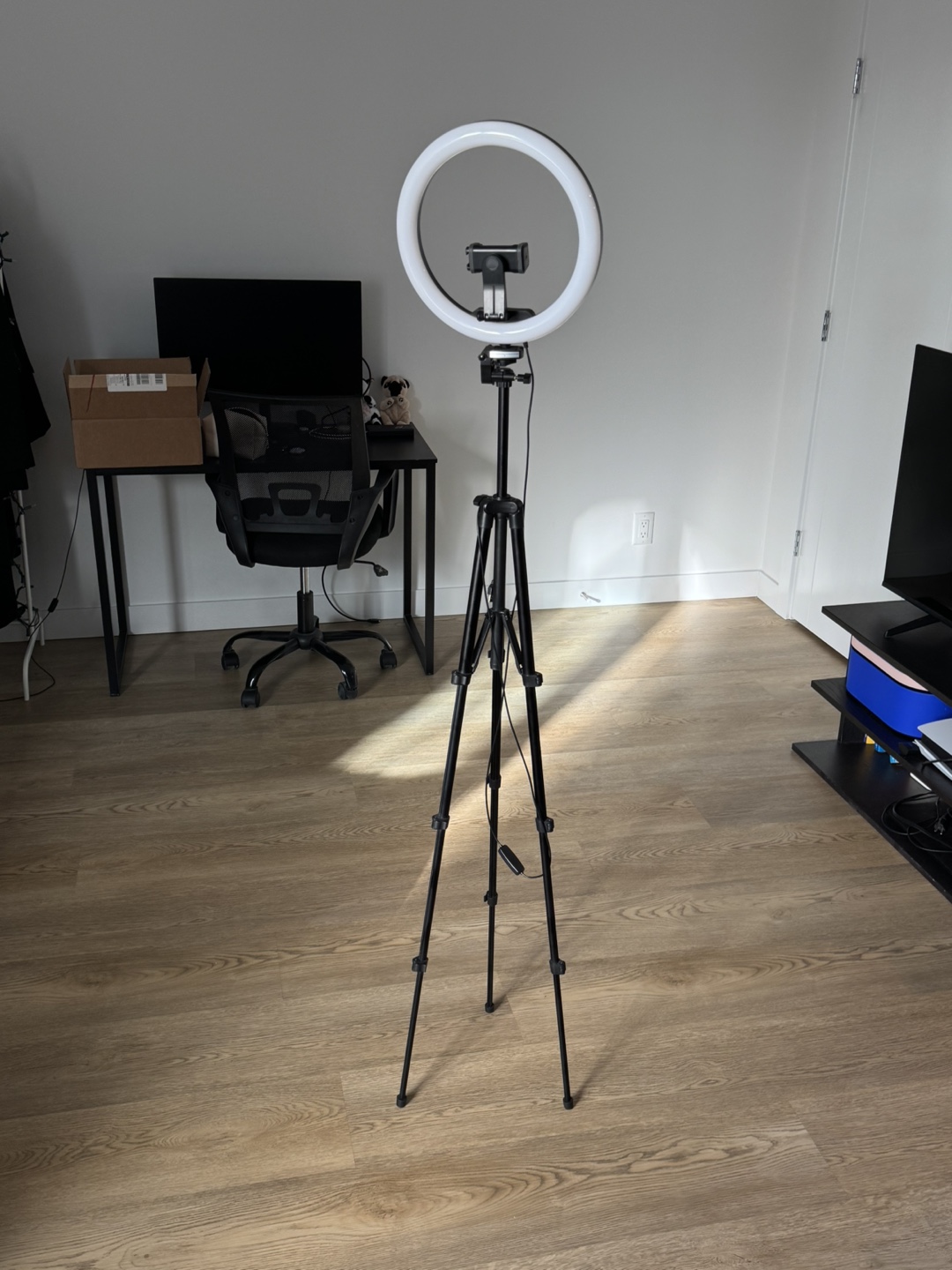 Ring Light with Tripod Stand