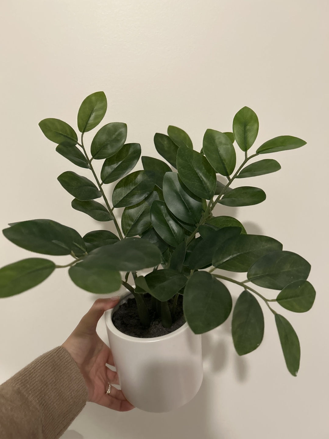 Artificial Plant Set - ZZ Plant & Fern - photo 2