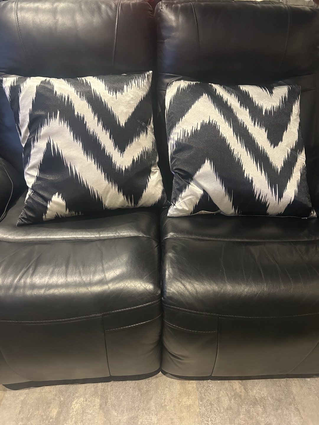 Pair of Decorative Pillows #freecycle