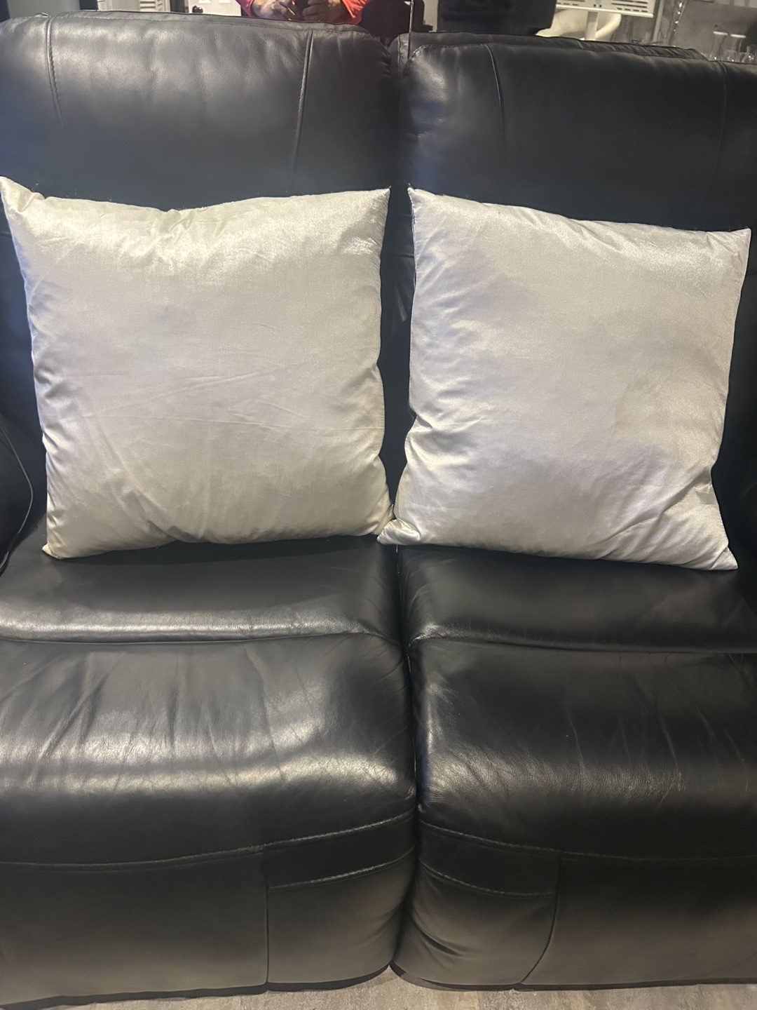 Pair of Decorative Pillows #freecycle - photo 2