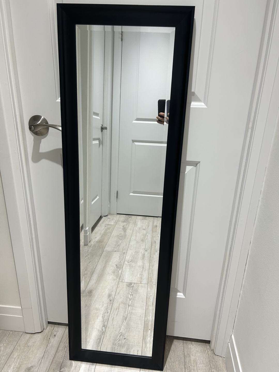 Full Length Black Framed Mirror