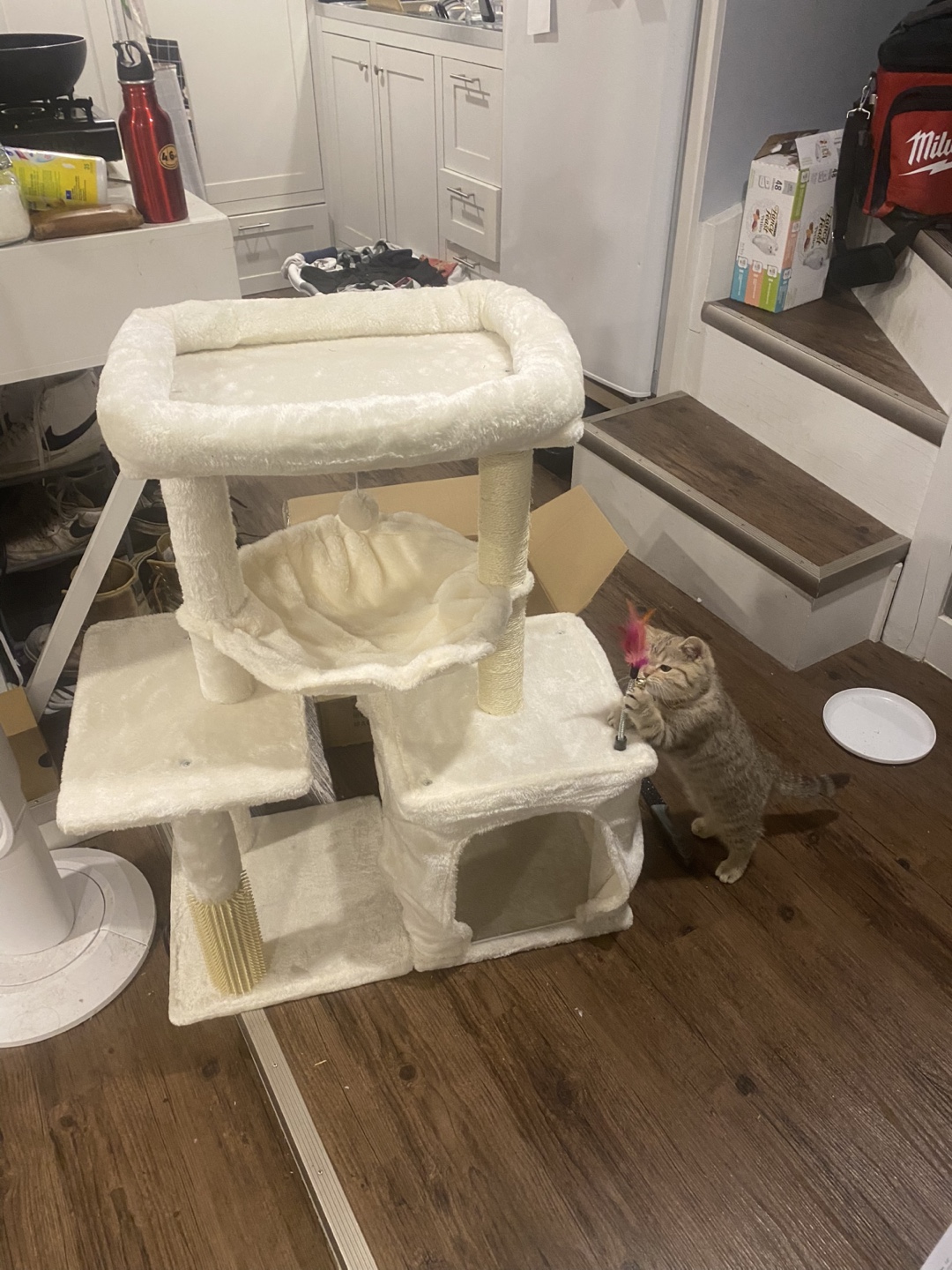 Cat Tree Condo - Multi-level with Scratching Post