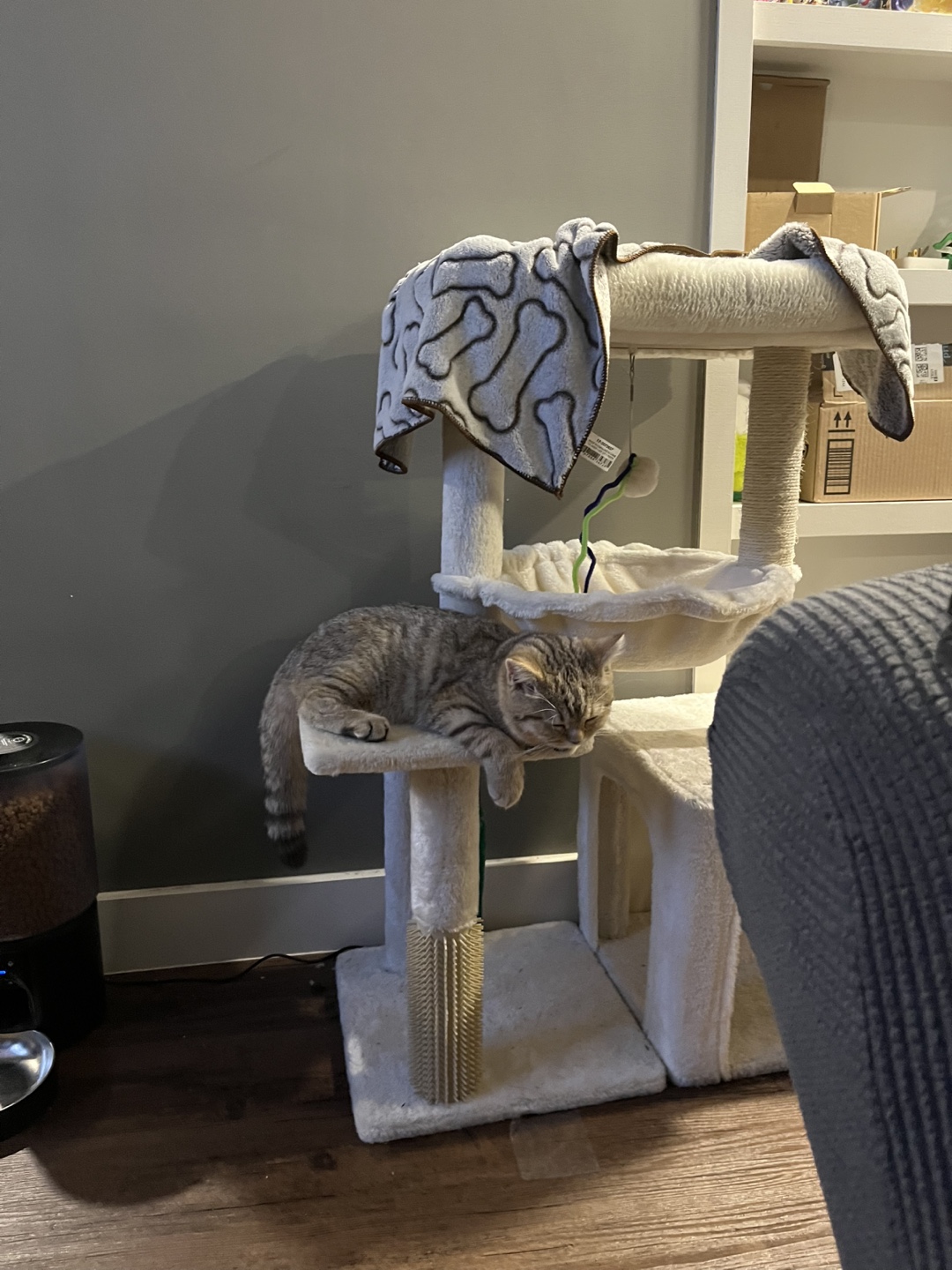 Cat Tree Condo - Multi-level with Scratching Post - photo 2