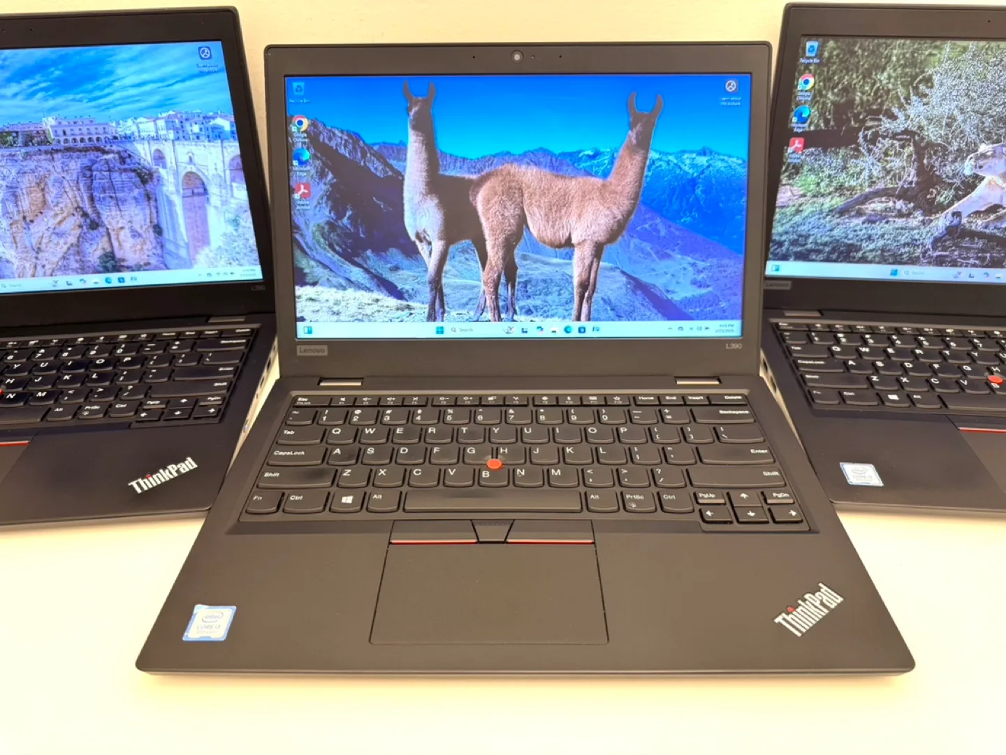 Lenovo ThinkPad L390 Laptop - 8GB RAM, 256GB SSD, Windows 11 Pro image indicator(8)