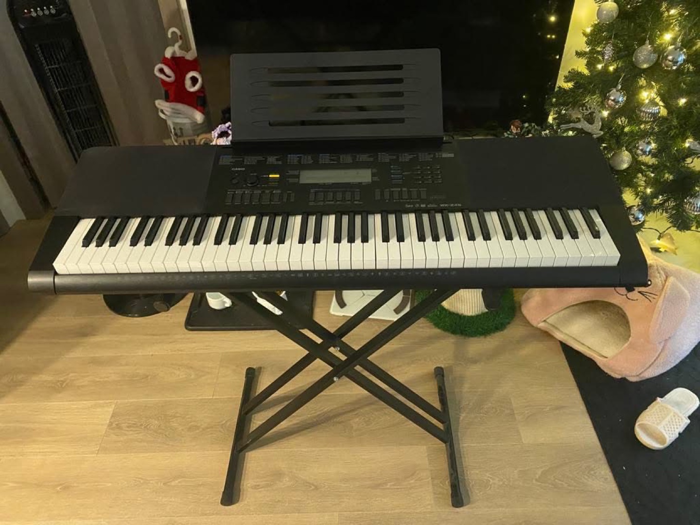 Casio WK-245 61-Key Digital Keyboard with Stand