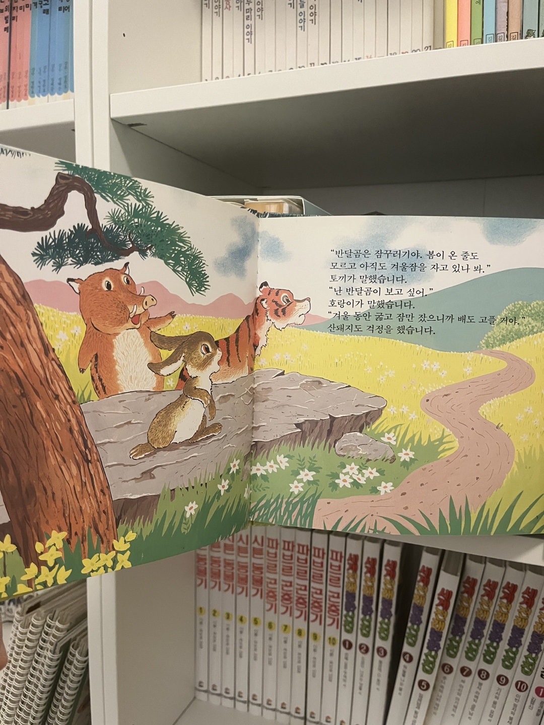 8 Korean Children's Books - 프뢰벨 자연보호 시리즈 8권 - photo 3