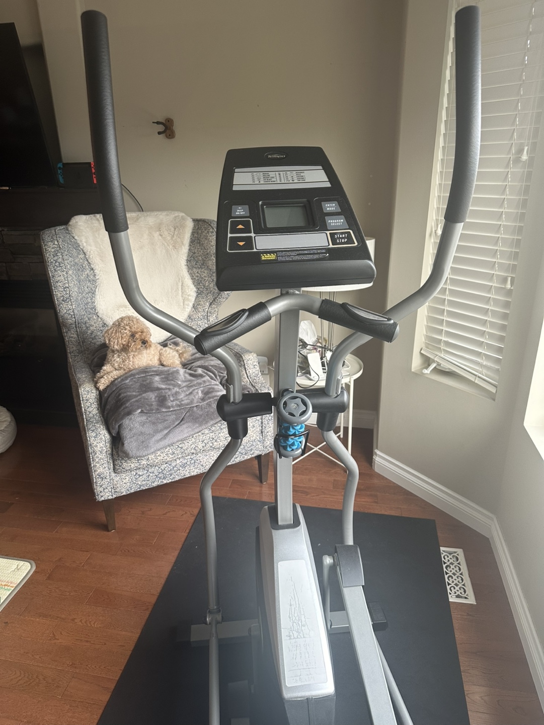 Tempo Elliptical elliptical Trainer
