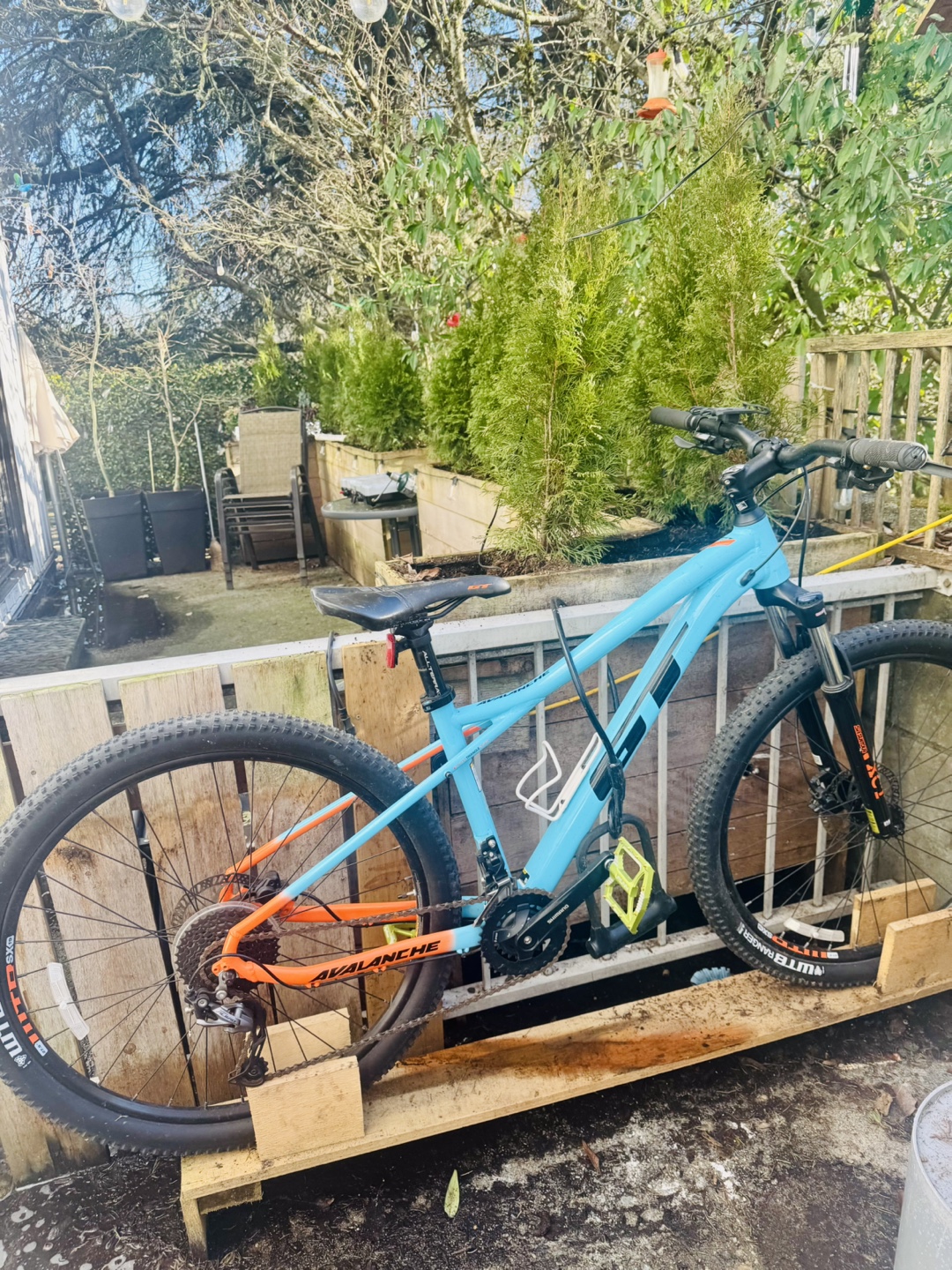 Avalanche Mountain Bike