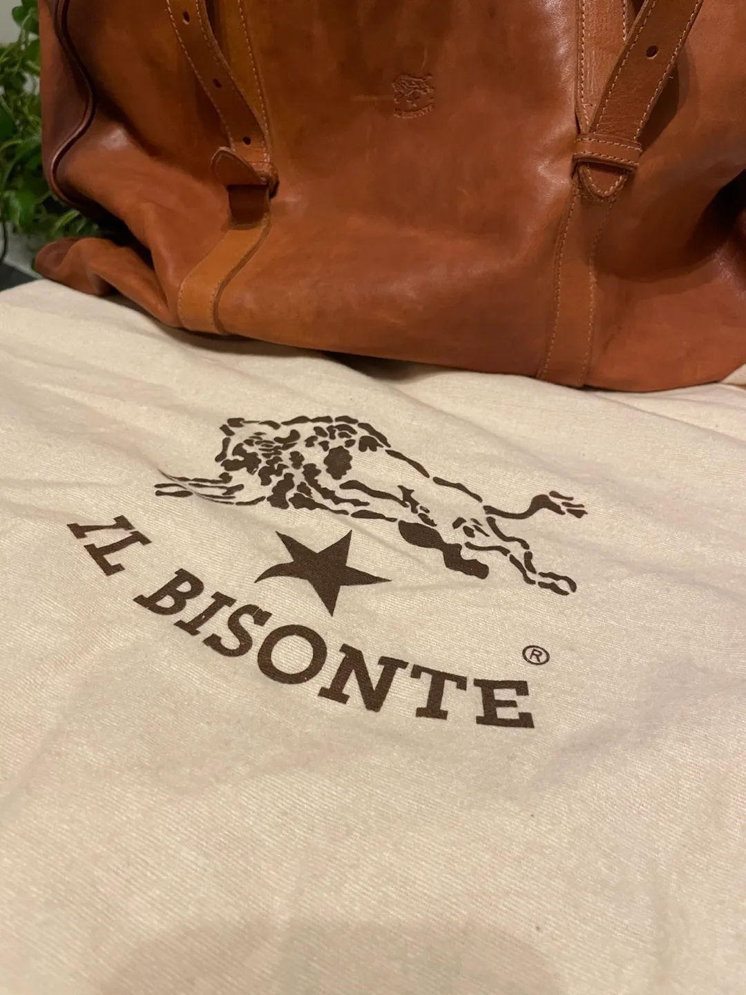 IL Bisonte Leather Travel Duffle Bag image indicator(5)