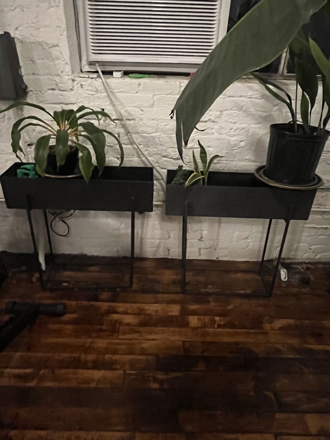 Pair of Black Metal Plant Stands