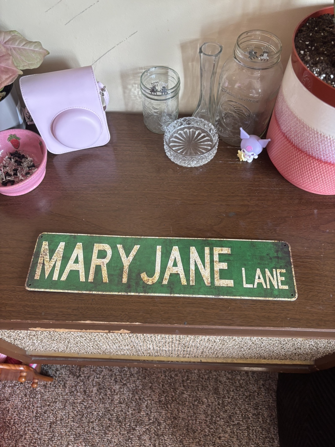 Mary Jane Lane Metal Sign