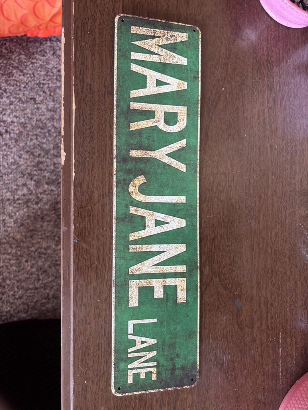 Mary Jane Lane Metal Sign - photo 2