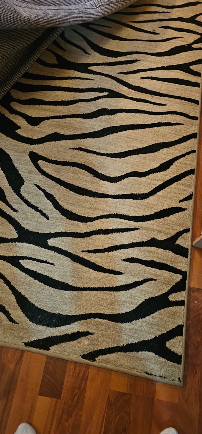 Zebra Print Area Rug - photo 3