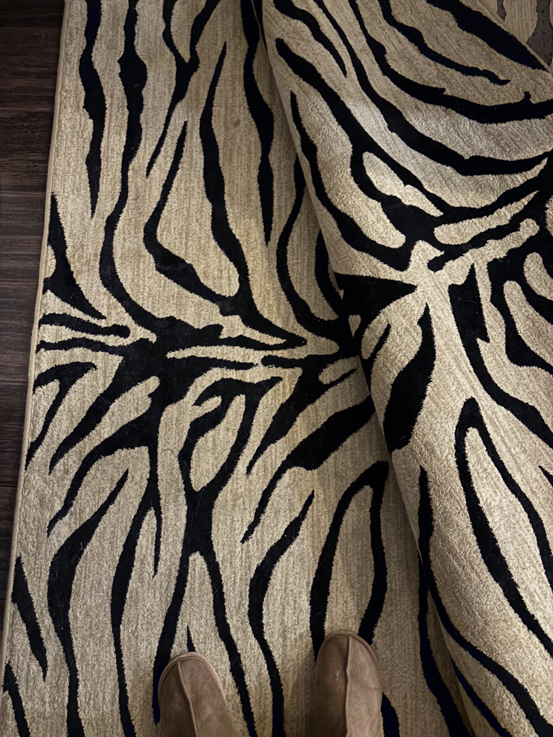 Zebra Print Area Rug - photo 2
