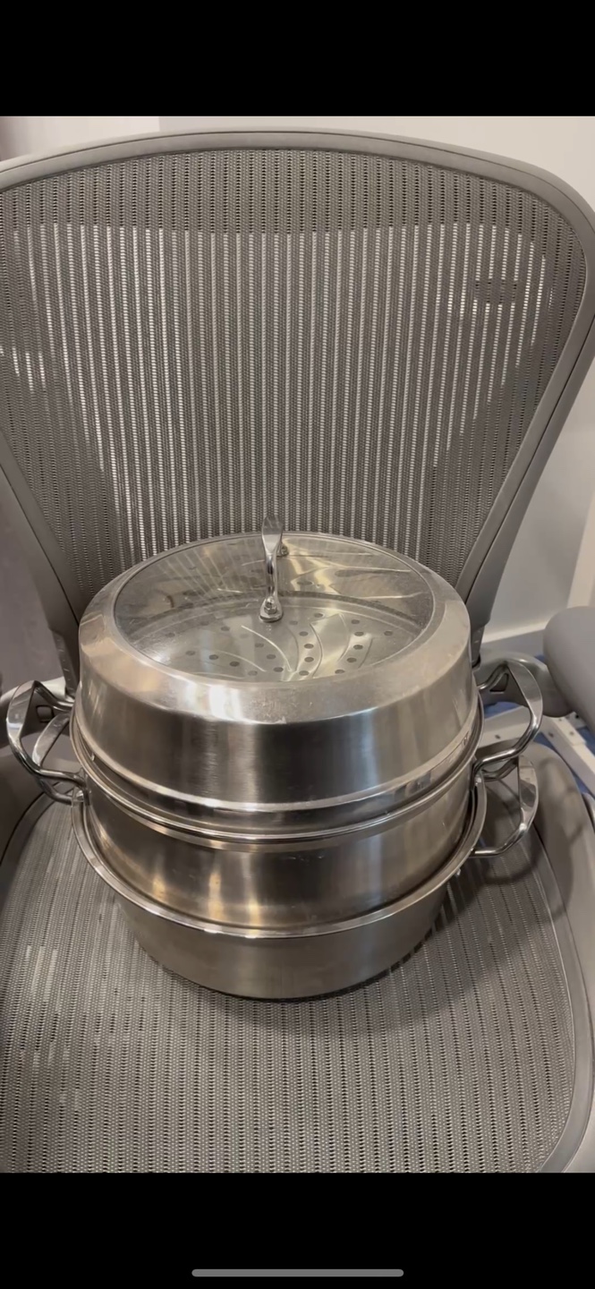 Stainless Steel Steamer