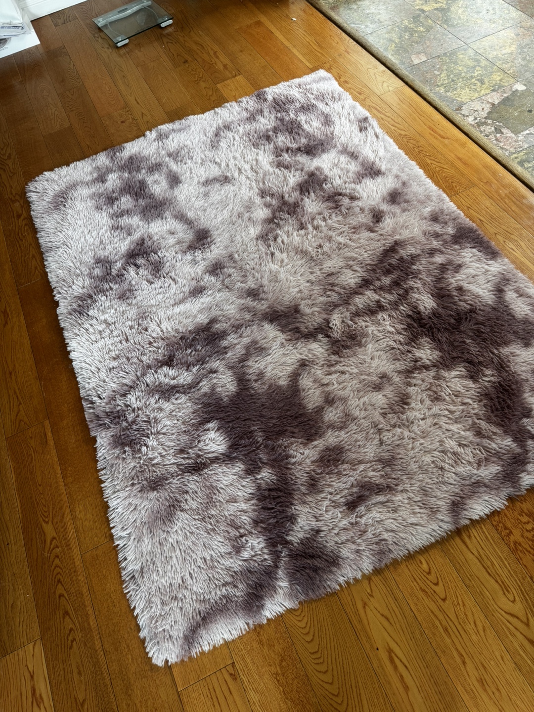 Fluffy Area Rug