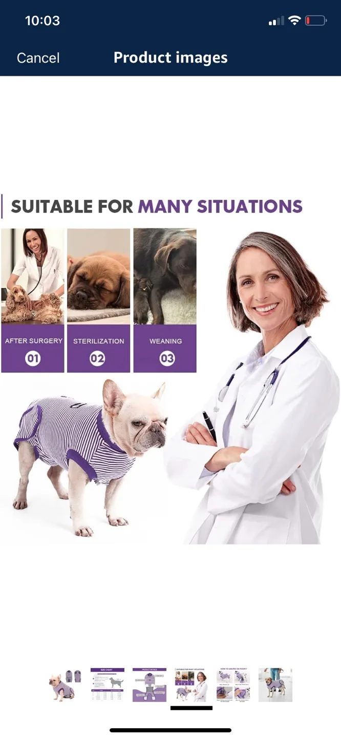 Dog Surgical Recovery Suit xxl- (multiple available) image indicator(5)