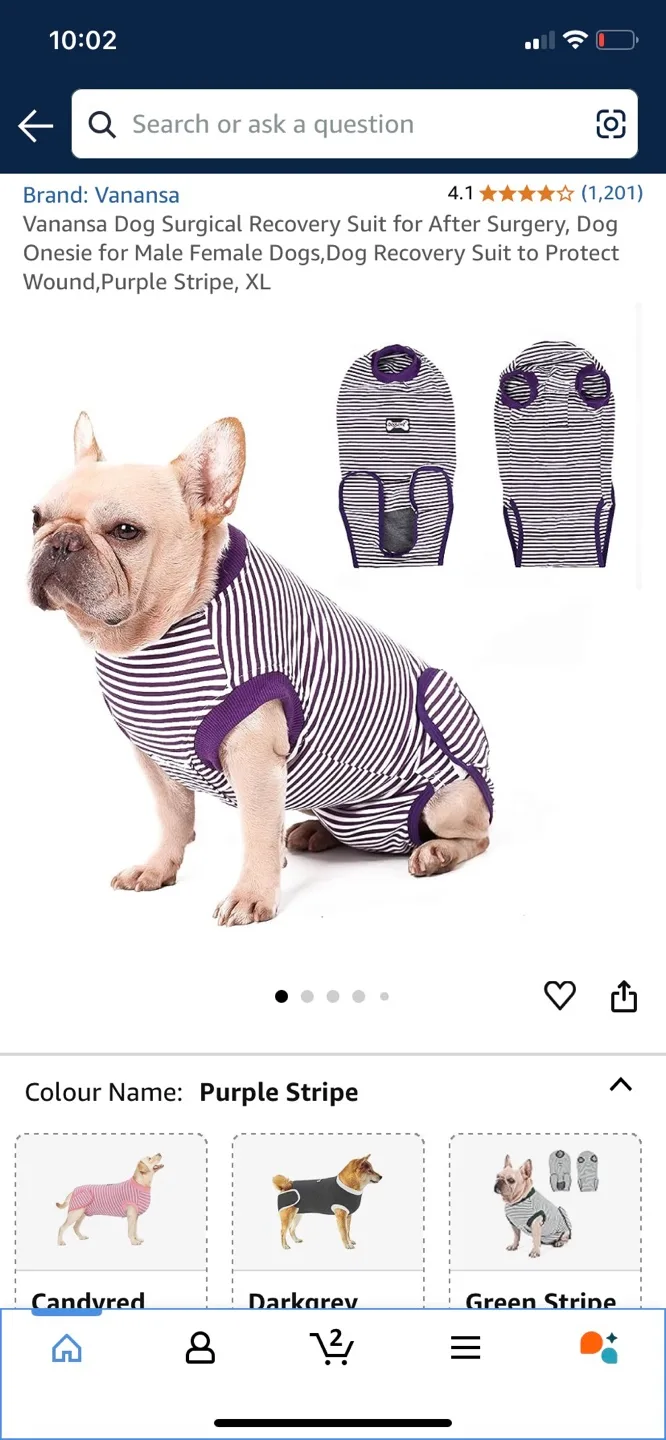 Dog Surgical Recovery Suit xxl- (multiple available) image indicator(2)