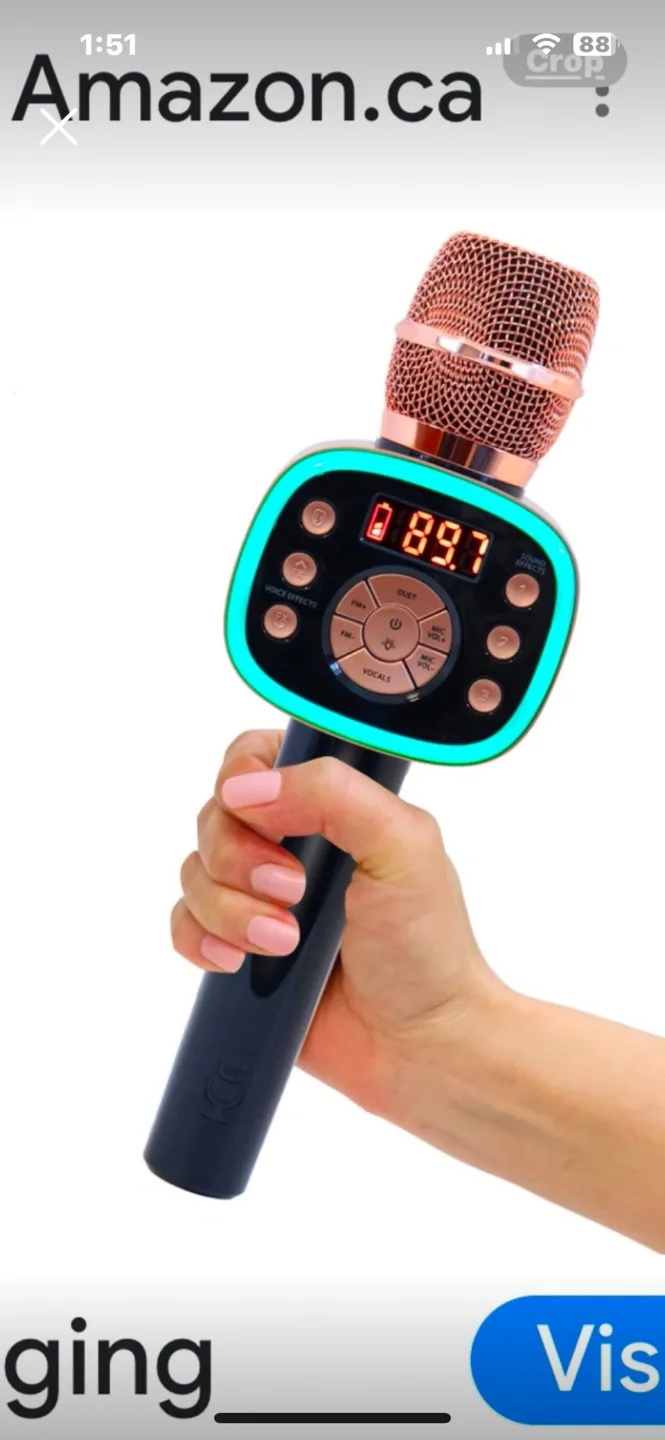 $10 Singing Karaoke Microphone with Lights and Sound Effects image indicator(5)