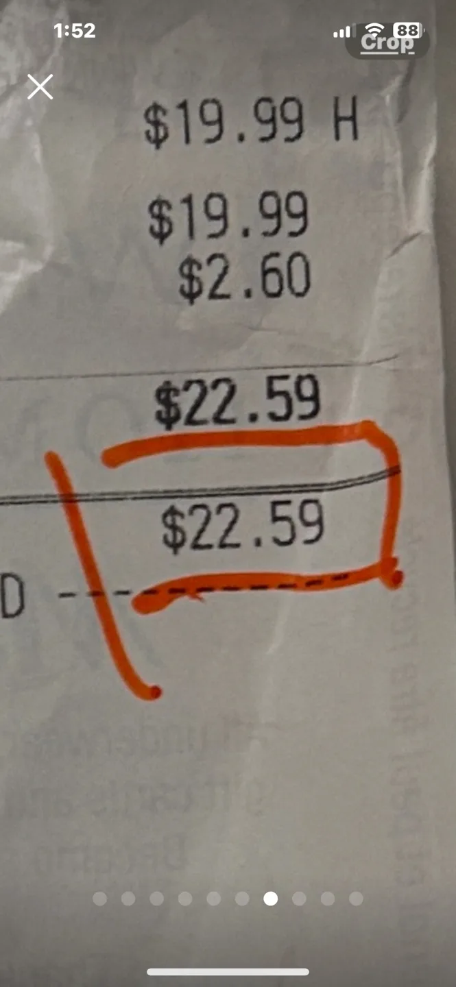 $10 Singing Karaoke Microphone with Lights and Sound Effects image indicator(7)