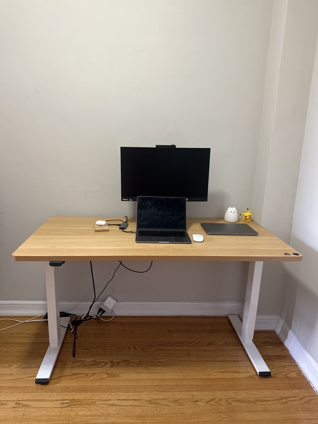 Flexispot Standing Desk - 55”x28”
