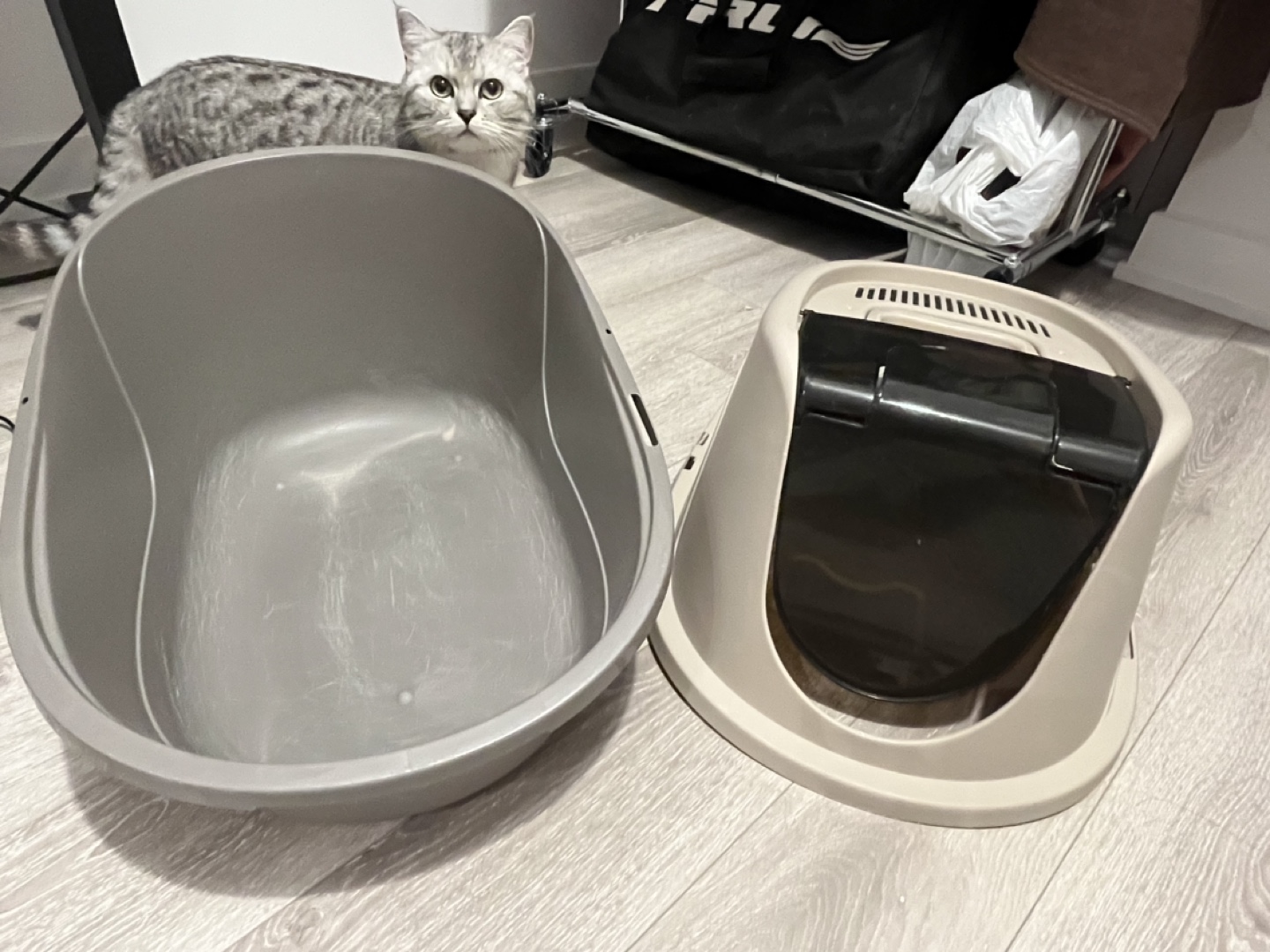 Amazon basics Cat Litter Box enclosed lid - photo 4