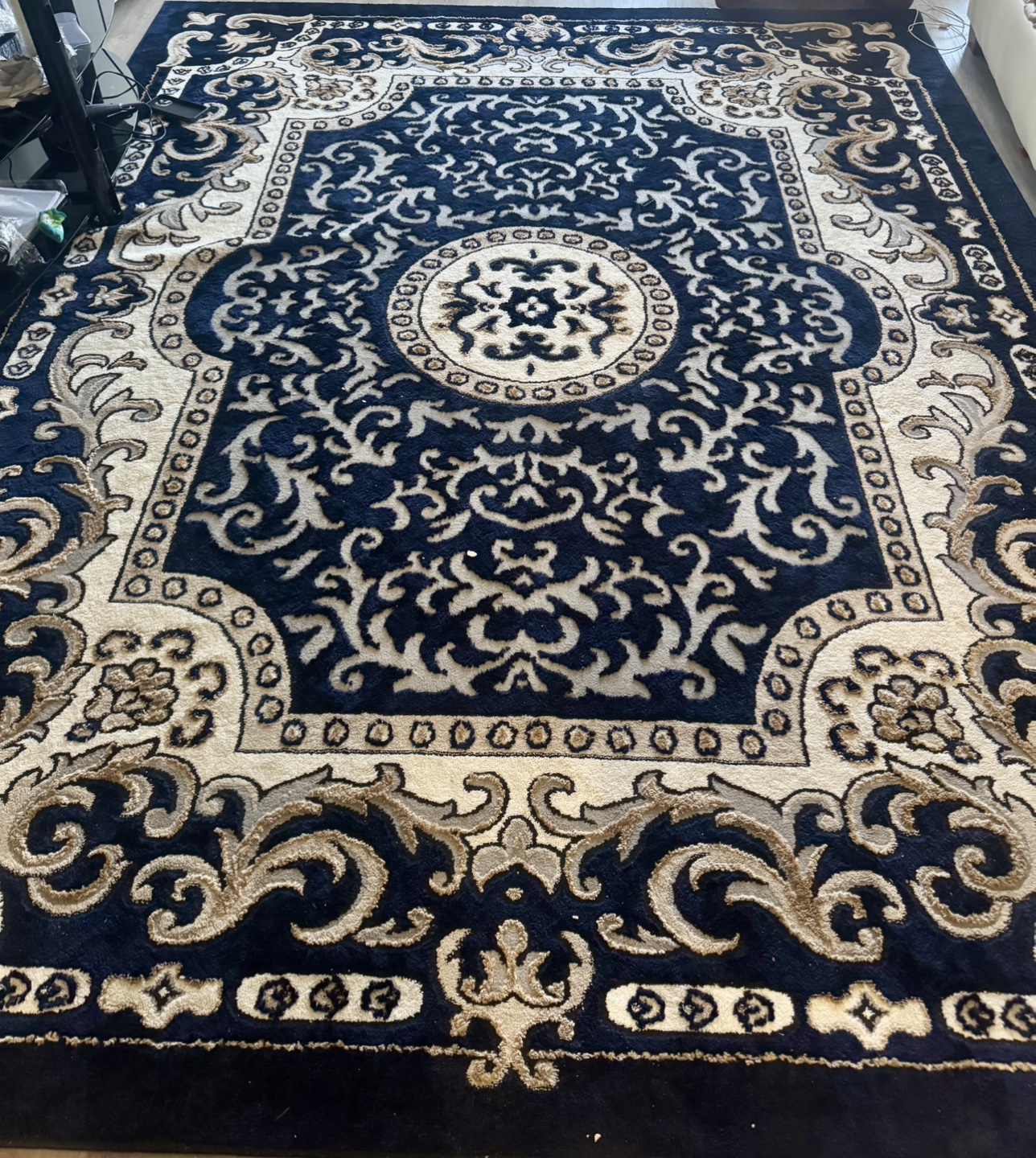 Elegant Black and Beige Area Rug - photo 3