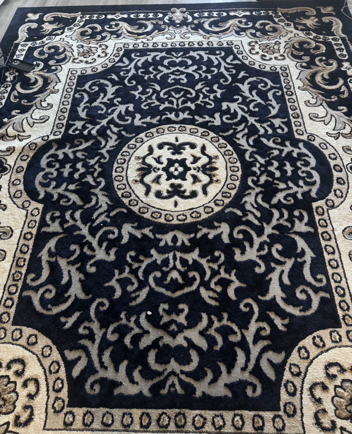 Elegant Black and Beige Area Rug - photo 2
