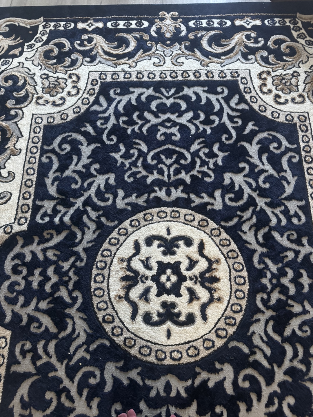 Elegant Black and Beige Area Rug