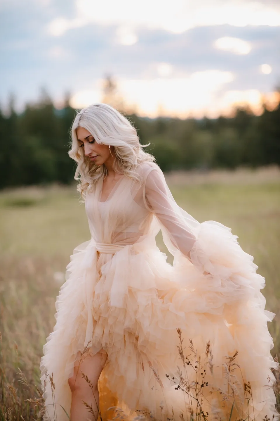 Lingerie Tulle Gown image indicator(3)