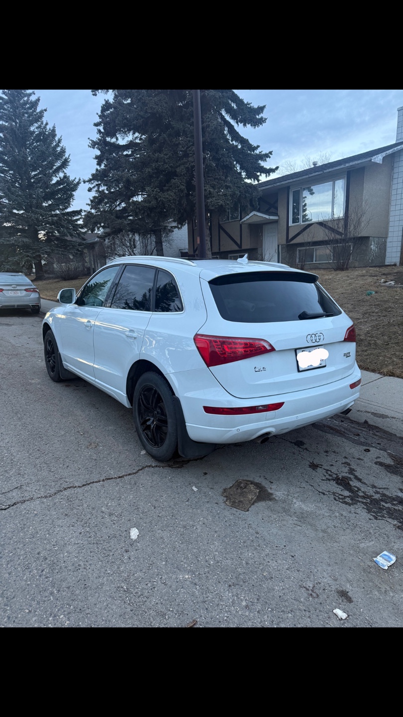 2010 Audi Q5 Quattro - White SUV - photo 4
