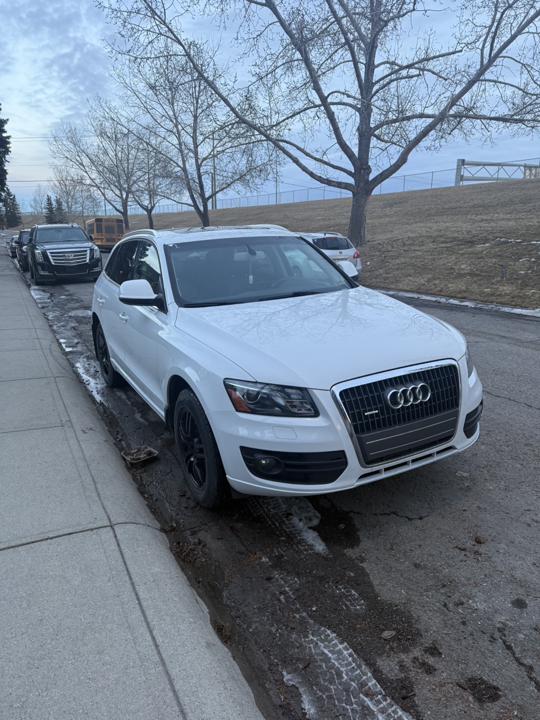 2010 Audi Q5 Quattro - White SUV