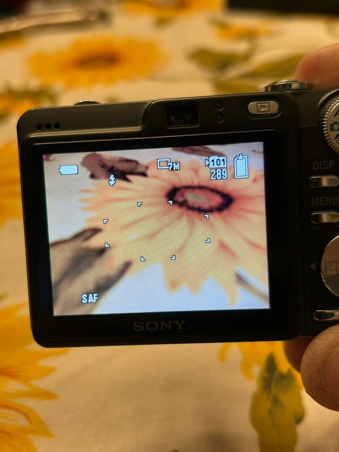 Sony Cyber-Shot DSC-W55 7.2MP 3x Optical Zoom Digital Camera image indicator(8)