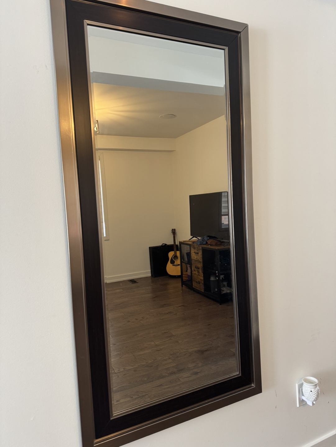 Floor Length Mirror with Brushed Silver Frame