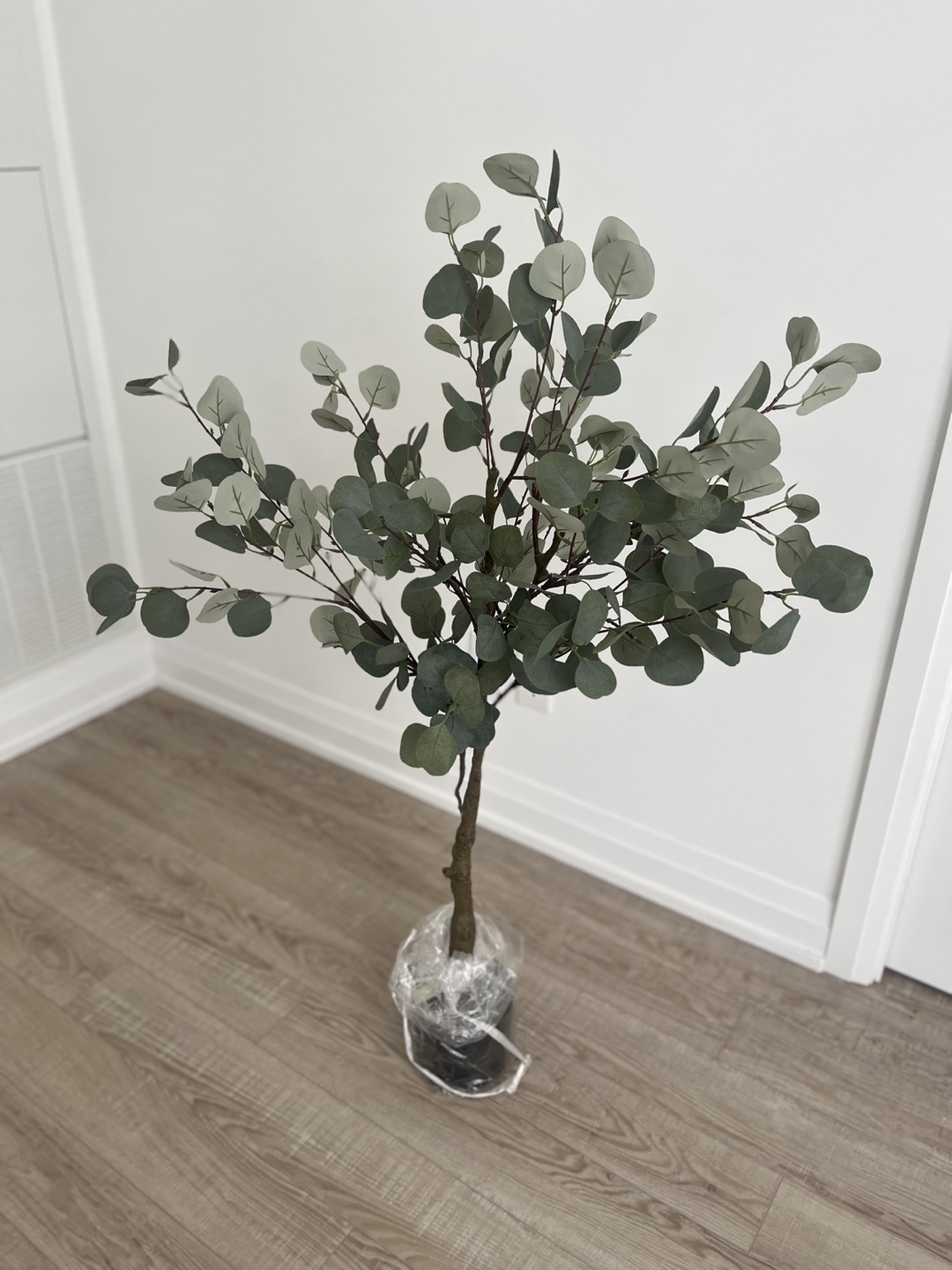 Artificial Eucalyptus Tree - photo 2
