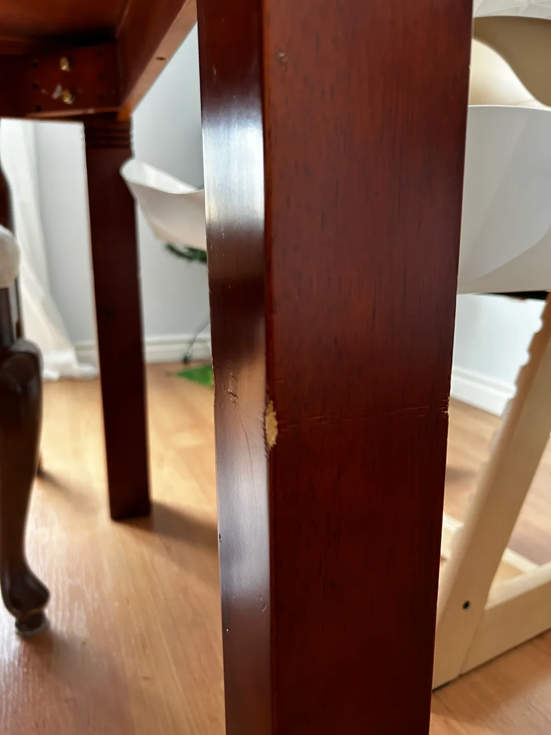 Dining Table image indicator(5)