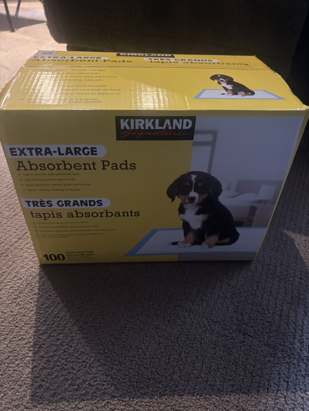 Pet Absorbent XL Pads Case of 100 Brand New