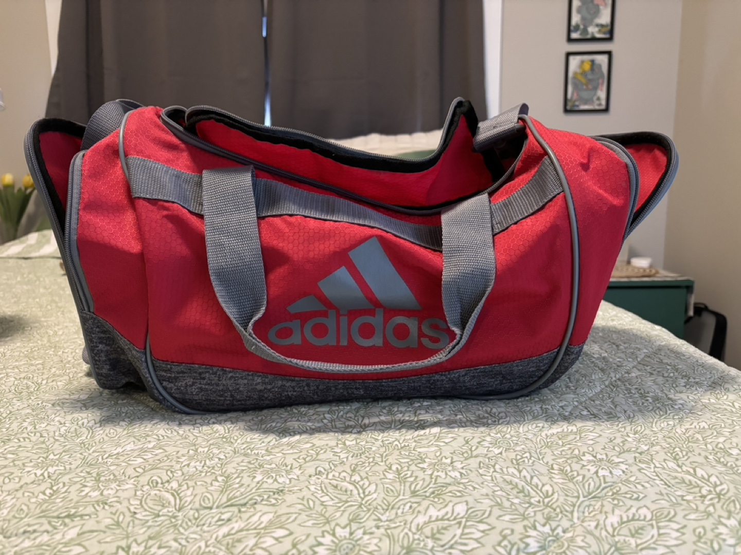 Adidas Duffle Bag