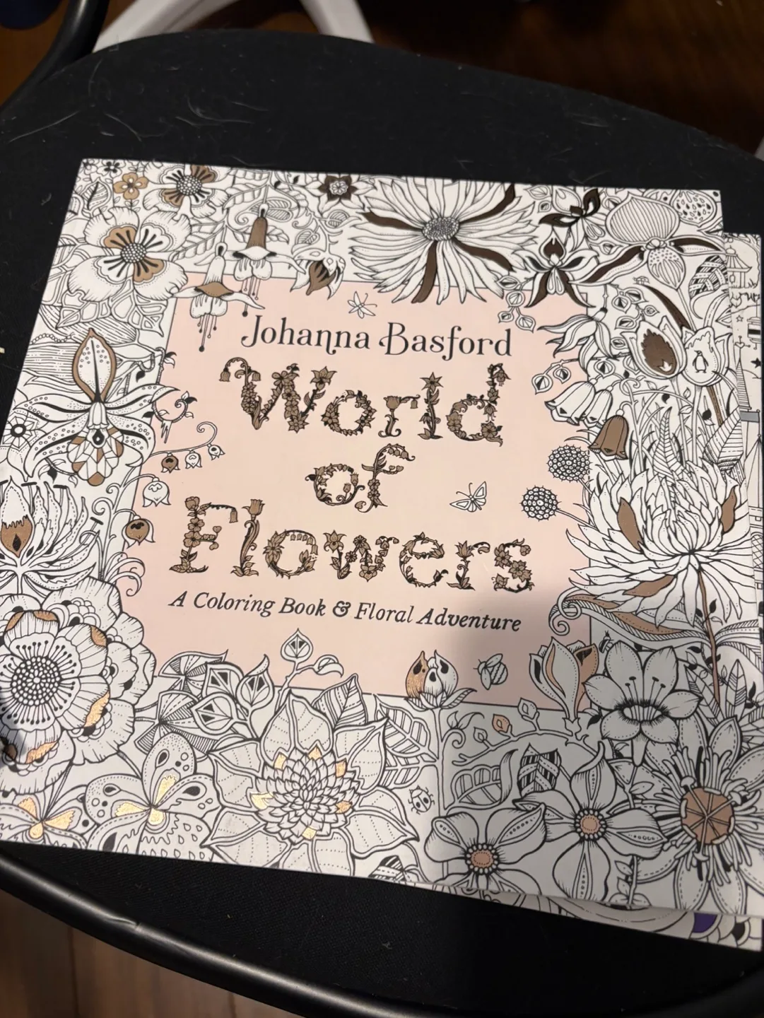 Johanna Basford Coloring Books Bundle image indicator(5)