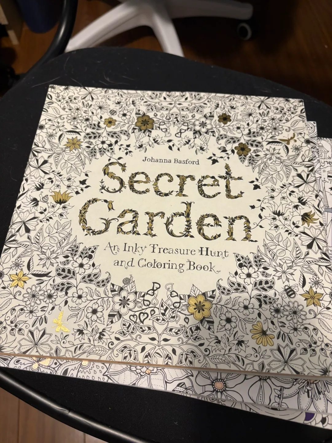 Johanna Basford Coloring Books Bundle image indicator(4)