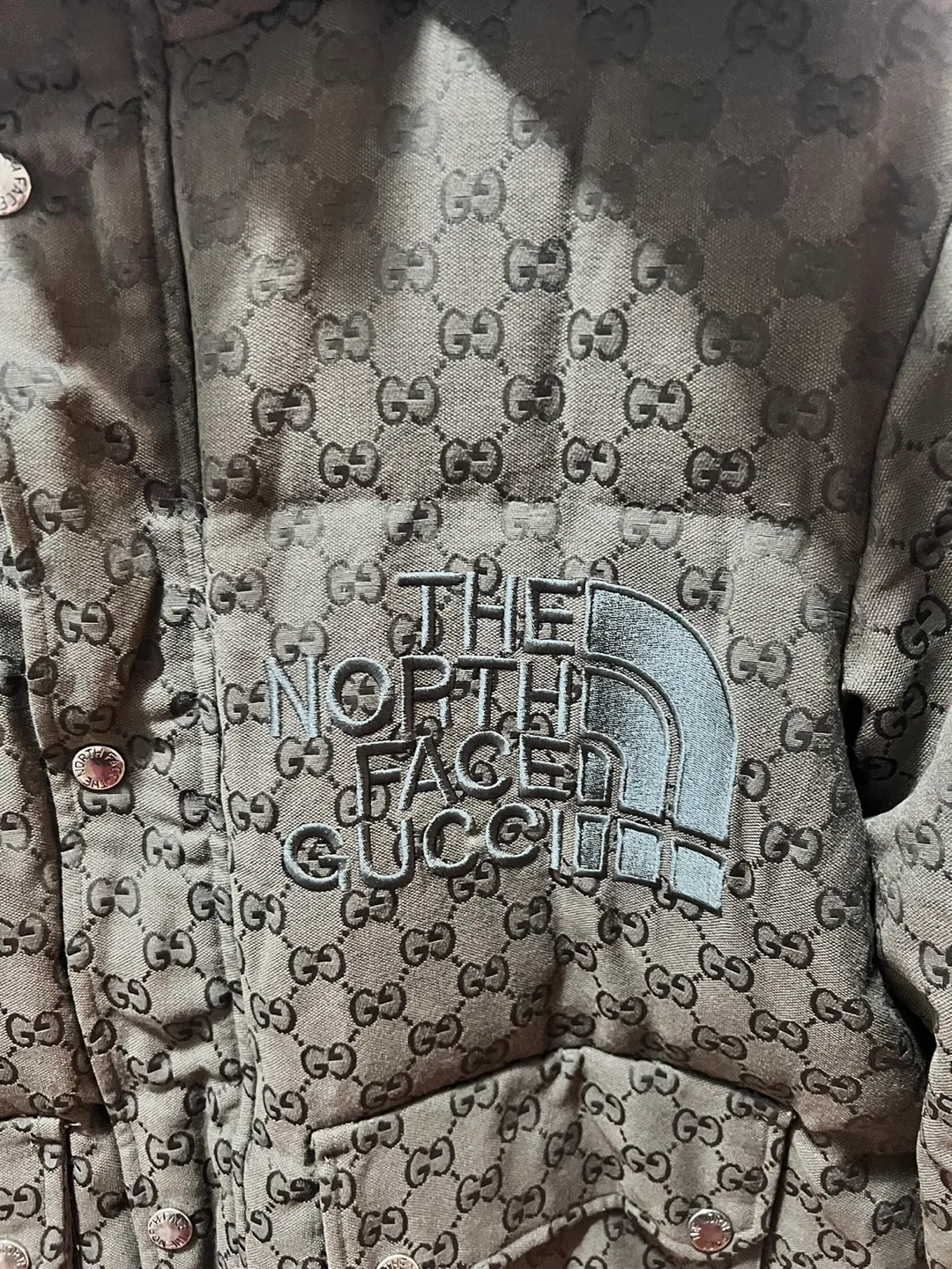 The North Face x Gucci Down Jacket image indicator(2)